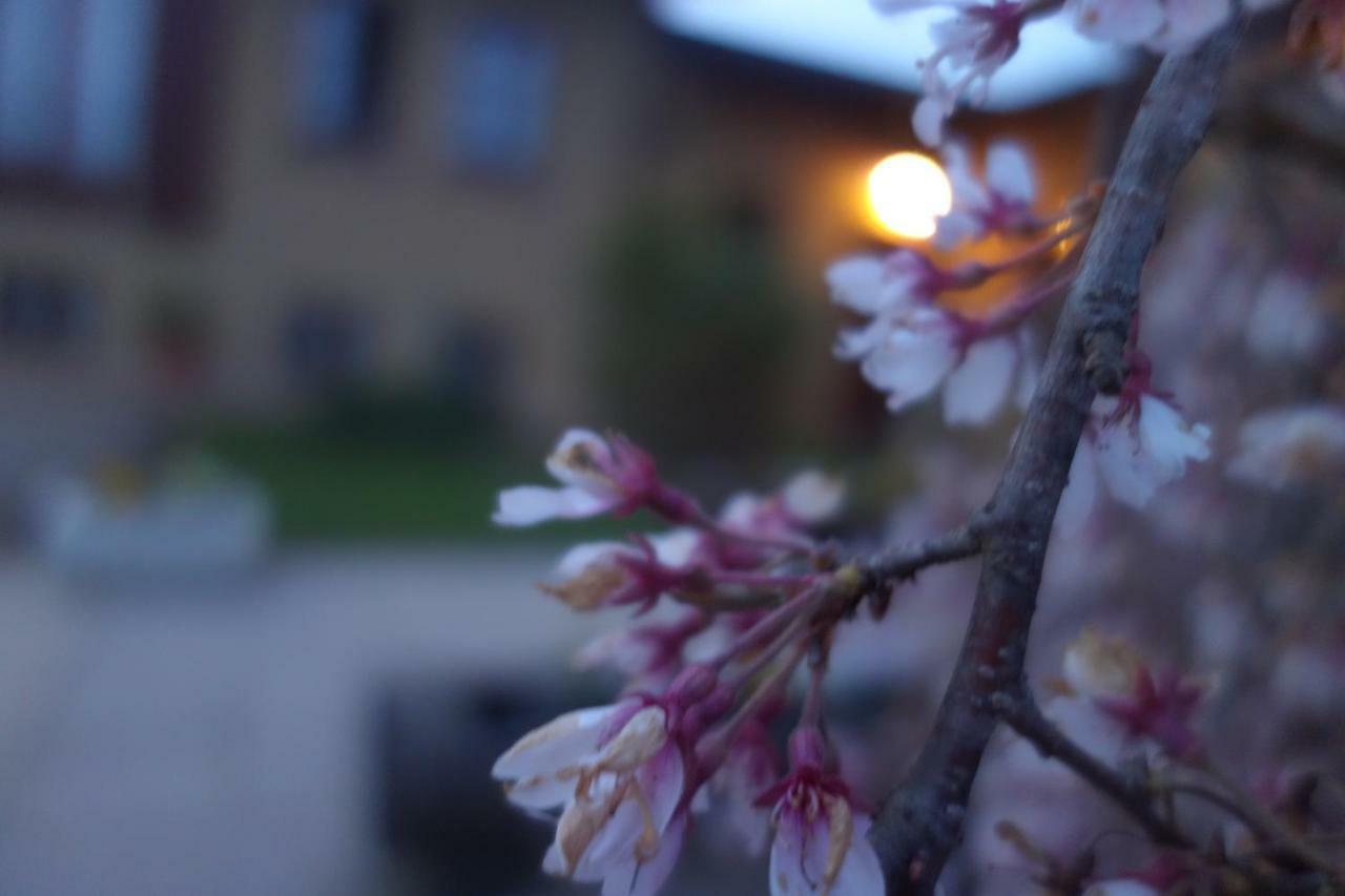 Agriturismo L'Antico Sapore Baraggia di Boca Экстерьер фото